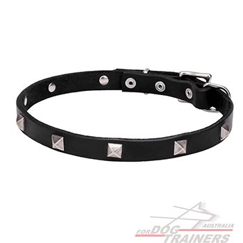 Studded Leather Dog Collar with Reliable Hardware