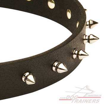Collar for dogs with spiked decoration