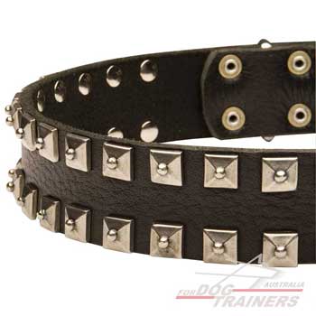 Dog collar with studs decoration