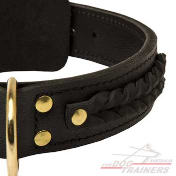 Leather braided dog collar for everyday walking