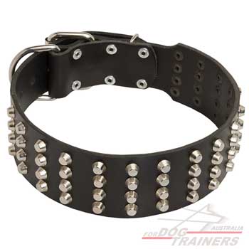 Dog leather collar for walking