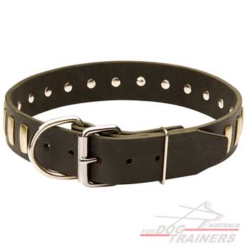 Beautiful leather dog collar with strong hardware