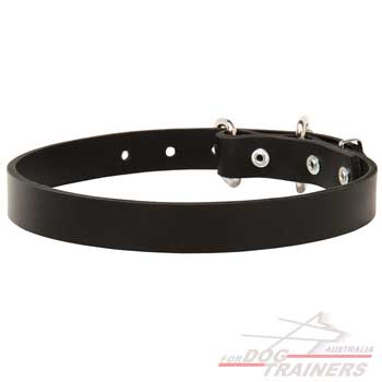 Reliable Leather Narrow Collar
