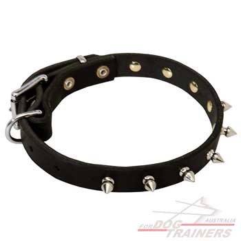 Spiked leather collar for walks
