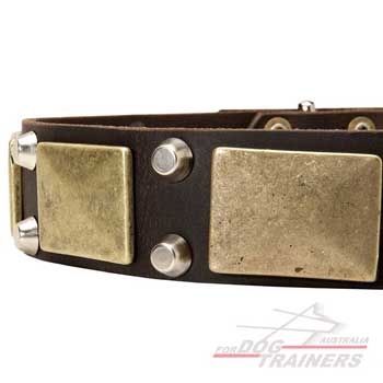 Vintage Style Dog Collar