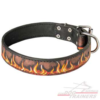 Handpainted fashionable dog collar