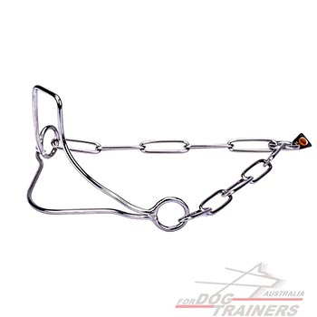 HS Show Dog Collar