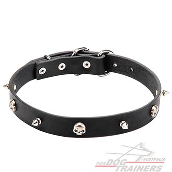 Leather Dog Collar