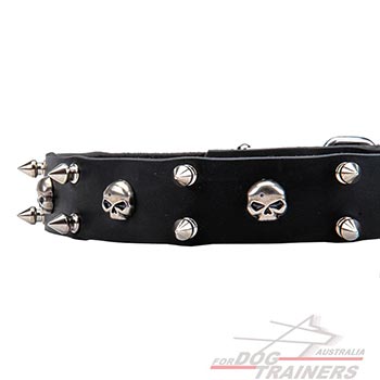 Decorated Leather Dog Collar