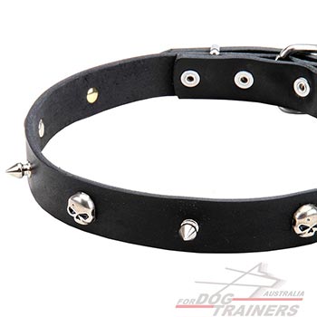 Decorated Leather Dog Collar