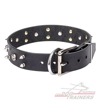 Black leather dog collar with nickel plated hardware