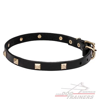 Natural leather dog collar with studs