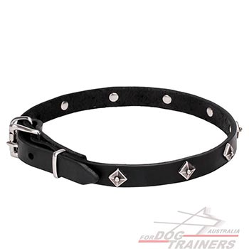 Everyday use leather canine collar