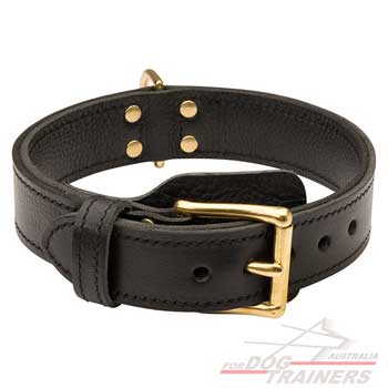 Leather dog collar for stylish walking