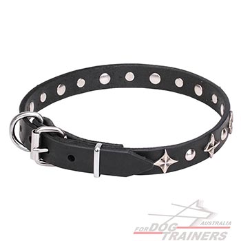 Everyday use beautiful leather pet collar