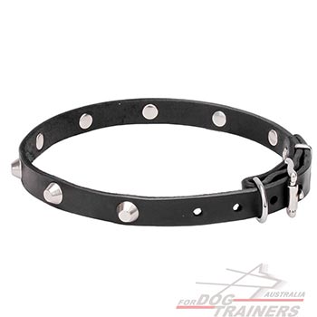 Natural Leather Decorated Walking Collar