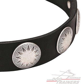 Full grain natural leather wide dog collar