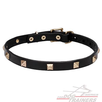 Leather Dog Collar with Brass Studs