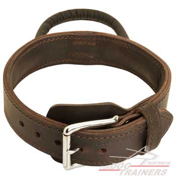 Adjustable Leather Dog Collar