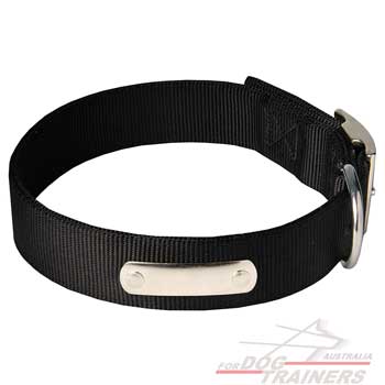2 ply nylon dog collar with name tag