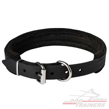 Narrow fully padded leather dog collar 