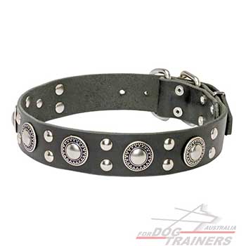Full grain natural black leather dog collar
