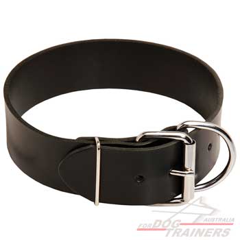 Smooth Collar with Steel Nickel Plated Buckle
