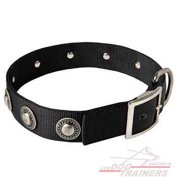 Nylon dog collar with beautiful decoration