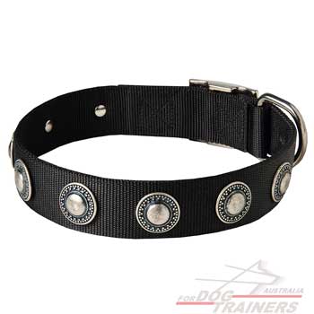 Nylon Dog Collar with Conchos