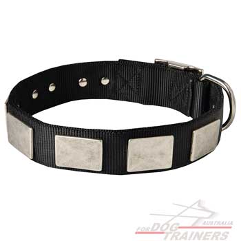 Fashionable nylon dog collar with massive plates