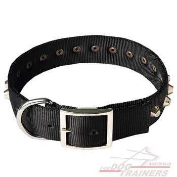 Nylon dog collar with nickel plated fittings