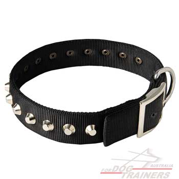 Nylon dog collar with pyramids