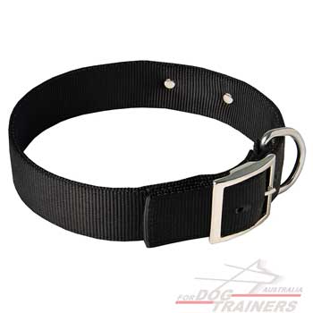 Nylon dog collar with rust-proof buckle