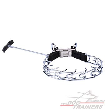 Metal Pinch Dog Collar