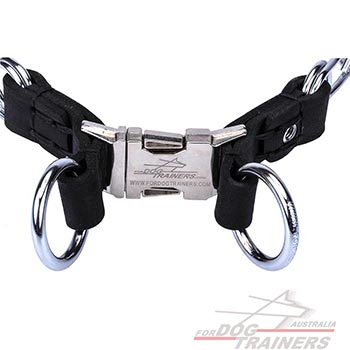 Metal Dog Pinch Collar