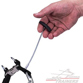 Handle on Pinch Dog Collar
