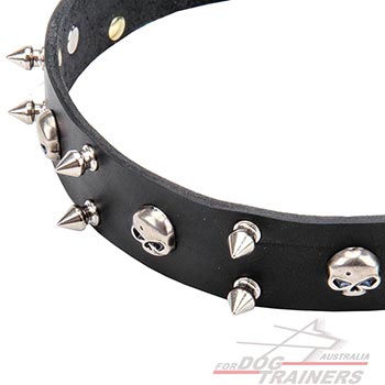 Rust-Proof Leather Dog Collar