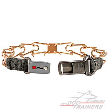 Curogan Dog Collar