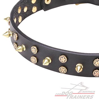 Brass Decoration on Leather Dog Collar 