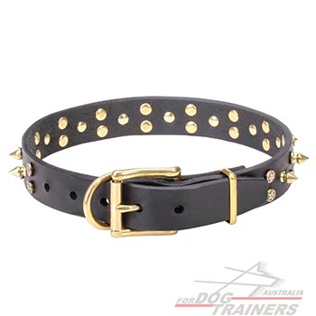 Reliable leather dog collar