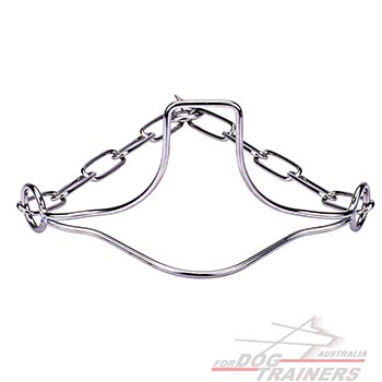 Herm Sprenger Dog Collar
