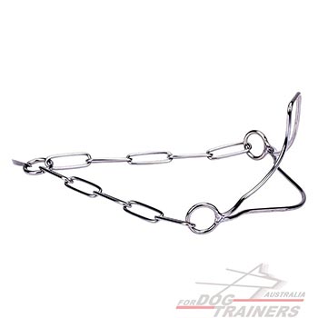 Stainless Steel Show Dog Collar