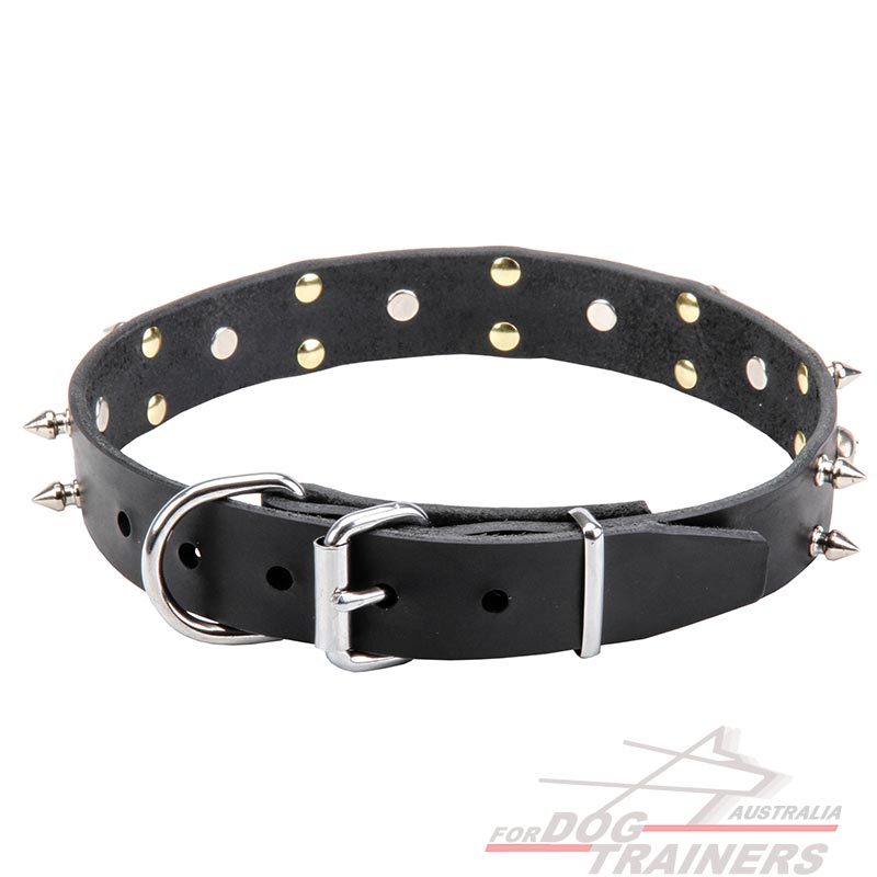Jolly Roger Leather Dog Collar with Skulls and Spikes - 1 ...