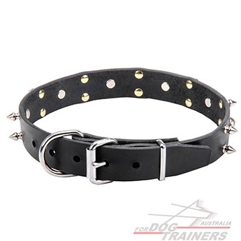 Leather Dog Collar