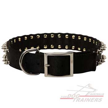 Nylon spiked dog collar