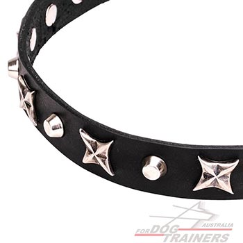 Durable dog collar with four-cornered stars