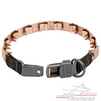 Strong Curogan Dog Collar