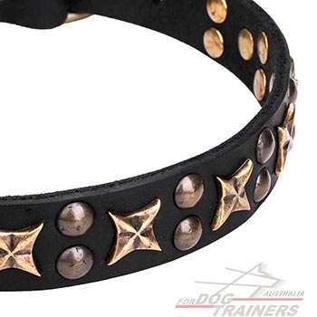 Collar for dogs with old-style stars and studs