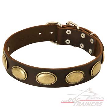 Polished leather vintage collar