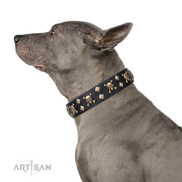 Easy wearing embellished dog collar of top notch leather